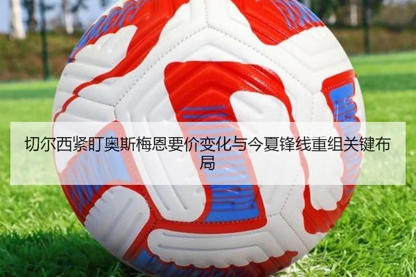 img_1782746997754_1510_1_542.jpg
